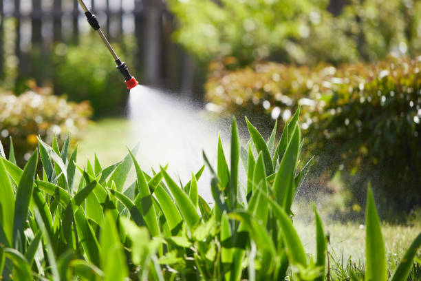 24/7 Emergency Mosquito Control experts in Murrieta, CA